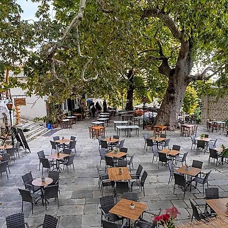 Szálloda Deluxe Double Levanda Pelion Vizíca