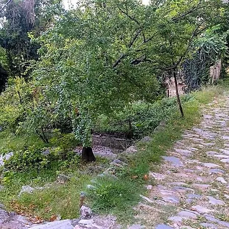 Szálloda Deluxe Double Levanda Pelion 2*